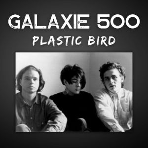 Album Plastic Bird from Galaxie 500