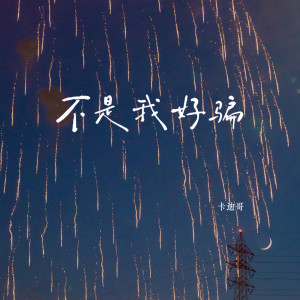卡迪哥的专辑不是我好骗
