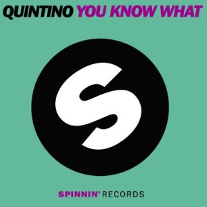 ดาวน์โหลดและฟังเพลง You Know What (Alvaro Remix) พร้อมเนื้อเพลงจาก Quintino