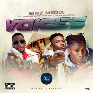 Listen to Voices (Explicit) song with lyrics from Bimz Media