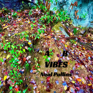 Listen to A B Vibes song with lyrics from Neal Pullins