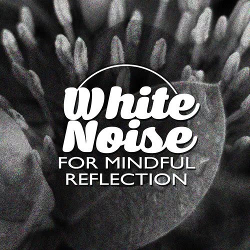 White Noise: White Noises