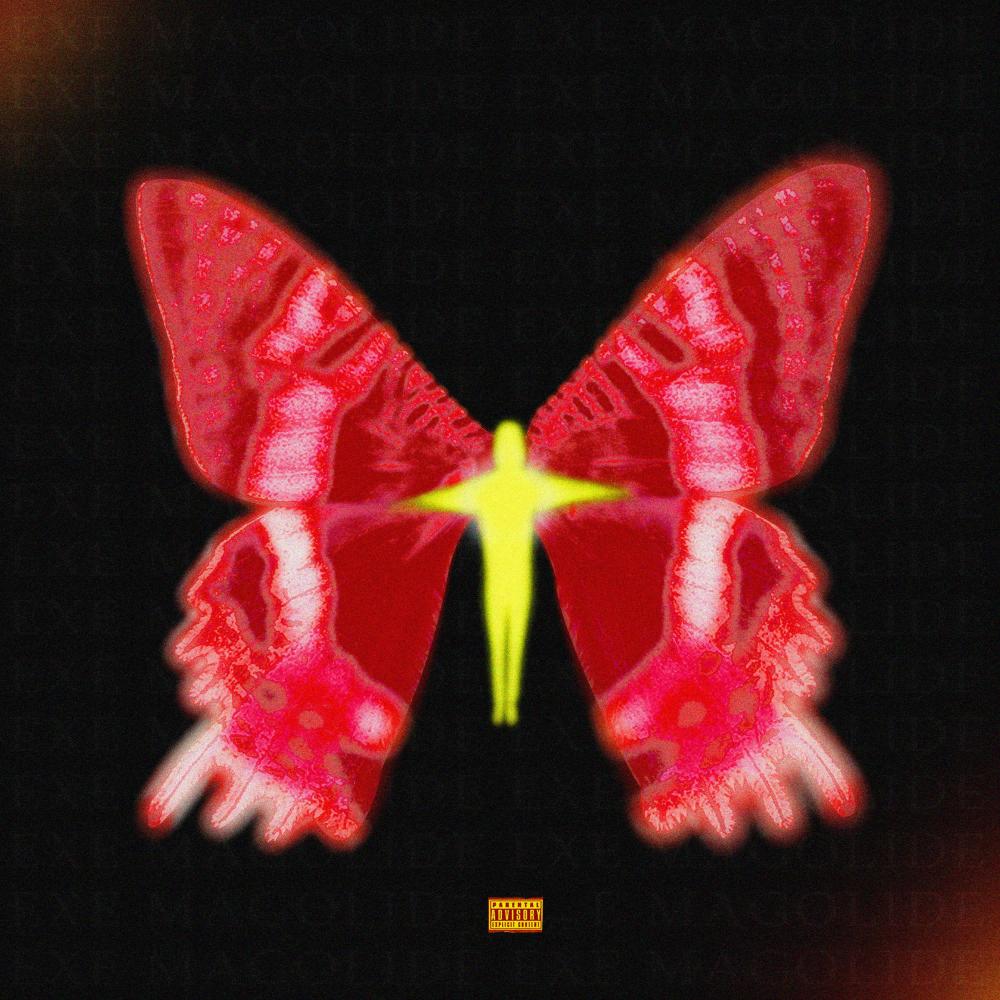 FEELINGS (Explicit)