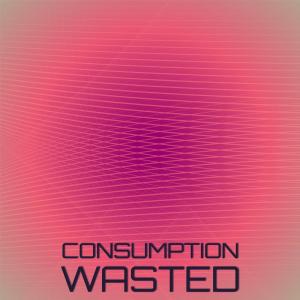 收聽Deston Wata的Consumption Wasted歌詞歌曲