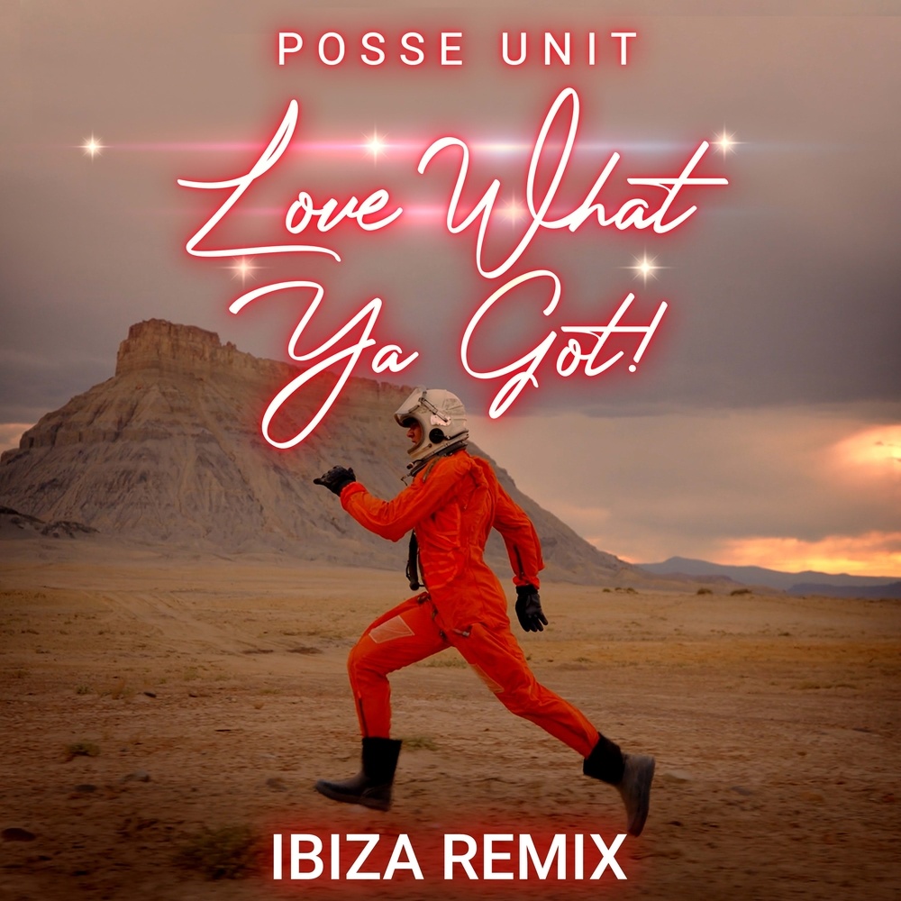 Love What Ya Got (Ibiza Remix)