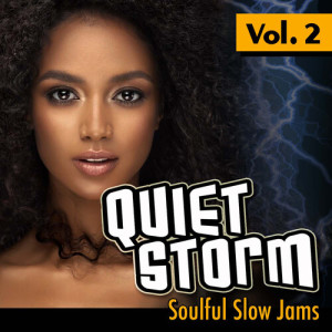 Album Quiet Storm: Soulful Slow Jams, Vol. 2 oleh Various