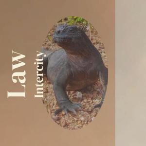 Listen to Denial Prom song with lyrics from Lison Juam