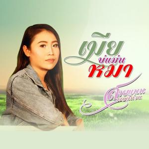 ดาวน์โหลดและฟังเพลง เมียบ่แม่นหมา พร้อมเนื้อเพลงจาก สายแนน พอดีม่วน