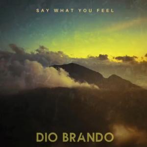 Listen to Say What You Feel (Explicit) song with lyrics from Dio Brando