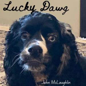 John McLaughlin的專輯Lucky Dawg