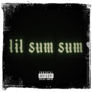 收聽YG Hootie的Lil Sum Sum (Explicit)歌詞歌曲