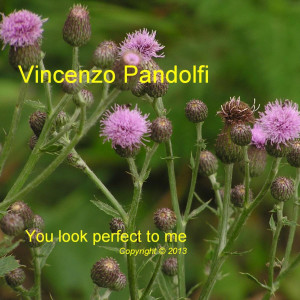 ดาวน์โหลดและฟังเพลง You Look Perfect to Me พร้อมเนื้อเพลงจาก Vincenzo Pandolfi