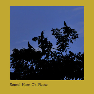 收聽Sound Horn Ok Please的Graveyard歌詞歌曲