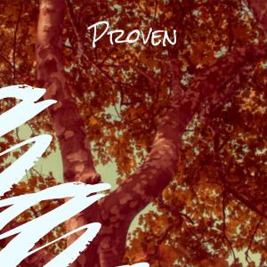 Listen to Bighearted Risen song with lyrics from Maale Blaca