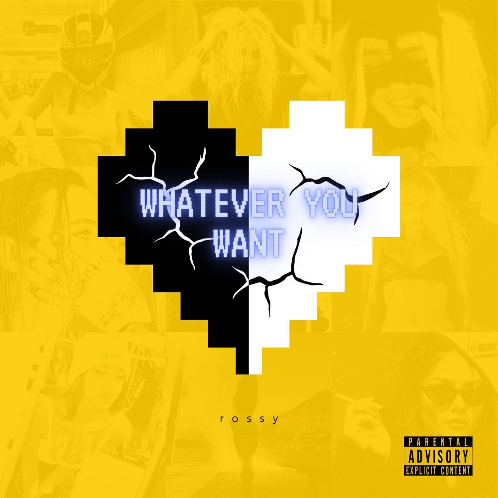 best friend sex (feat. s!lk) (Explicit)