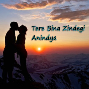 Listen to Tere Bina Zindegi song with lyrics from Anindya Biswas