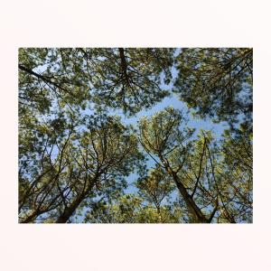 ดาวน์โหลดและฟังเพลง nụ cười mang cả cơn gió của mùa hè พร้อมเนื้อเพลงจาก middmoon