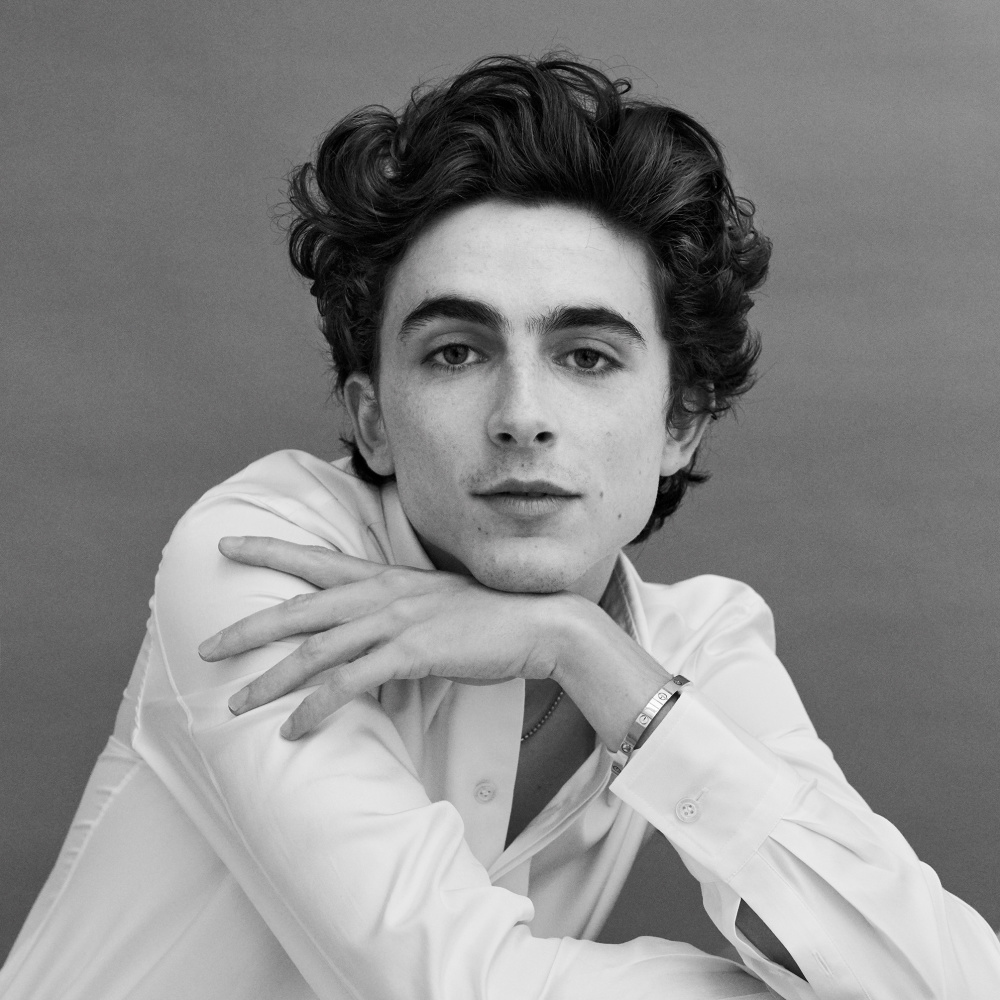 Timothee Chalamet