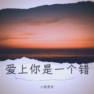 Album 爱上你是一个错 from 张同学呀