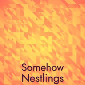 Listen to Counterfoil Doozy song with lyrics from Haram Sants