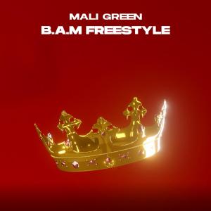 Album B.A.M FREESTYLE from 