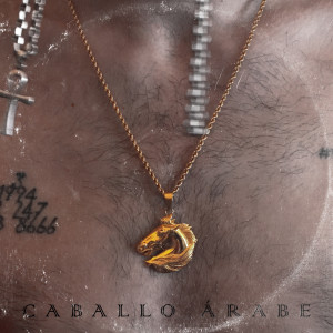 收听Ezdo Marchito的Caballo Arabe歌词歌曲