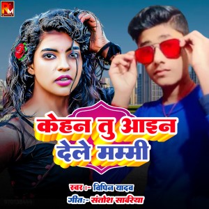 Listen to Kehan Tu Aain Dele Mammi song with lyrics from Vipin Yadav