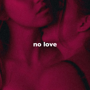 Listen to No Love (Slowed + Reverb) song with lyrics from Desren