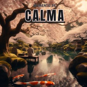 Listen to Meditación matutina song with lyrics from Musica para tomarse un café y meditar