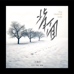 Dengarkan 背面 (完整版) lagu dari 王振宇 dengan lirik
