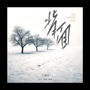 Album 背面 from 王振宇
