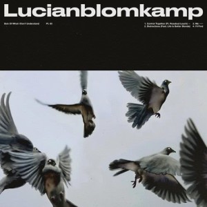 Listen to We. song with lyrics from LUCIANBLOMKAMP