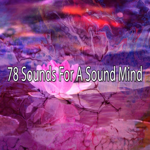 Dengarkan lagu Grateful Temple nyanyian White Noise Meditation dengan lirik