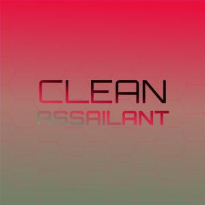 Album Clean Assailant from Various