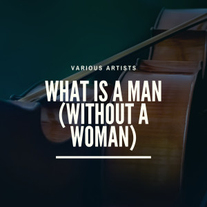 Listen to Request of a Fool song with lyrics from The Downbeats