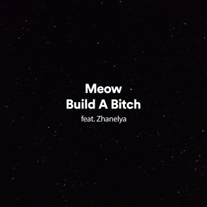 ดาวน์โหลดและฟังเพลง Build a Bitch (Explicit) พร้อมเนื้อเพลงจาก Zhanelya