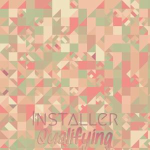 Various Artists的專輯Installer Qualifying