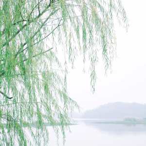 Dengarkan lagu 天空上面是天空 (八音盒) nyanyian 晏浩然 dengan lirik