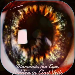 อัลบัม Hidden in Clad Veils ศิลปิน Diamonds For Eyes