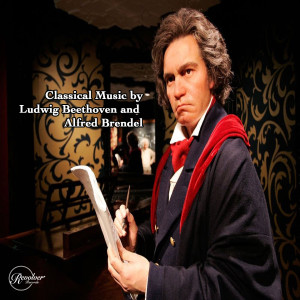 ดาวน์โหลดและฟังเพลง Piano Sonata No. 15 In D Major, Op.28, Pastoral II. Andante พร้อมเนื้อเพลงจาก Ludwig von Beethoven