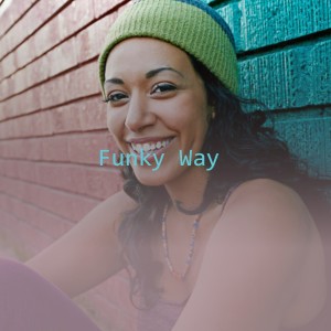 Album Funky Way from Various