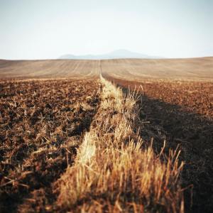 Dengarkan Study Music lagu dari Nature Sounds dengan lirik