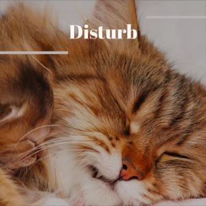 Dengarkan World Weave lagu dari Shant Bola dengan lirik