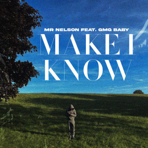 收聽Mr Nelson的Make I Know歌詞歌曲