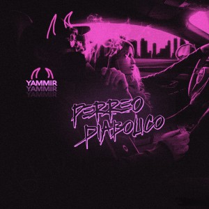 收聽yammir的Perreo diabólico (Explicit)歌詞歌曲