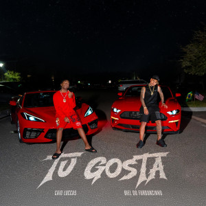 ดาวน์โหลดและฟังเพลง Tu Gosta พร้อมเนื้อเพลงจาก DJ Biel do Furduncinho