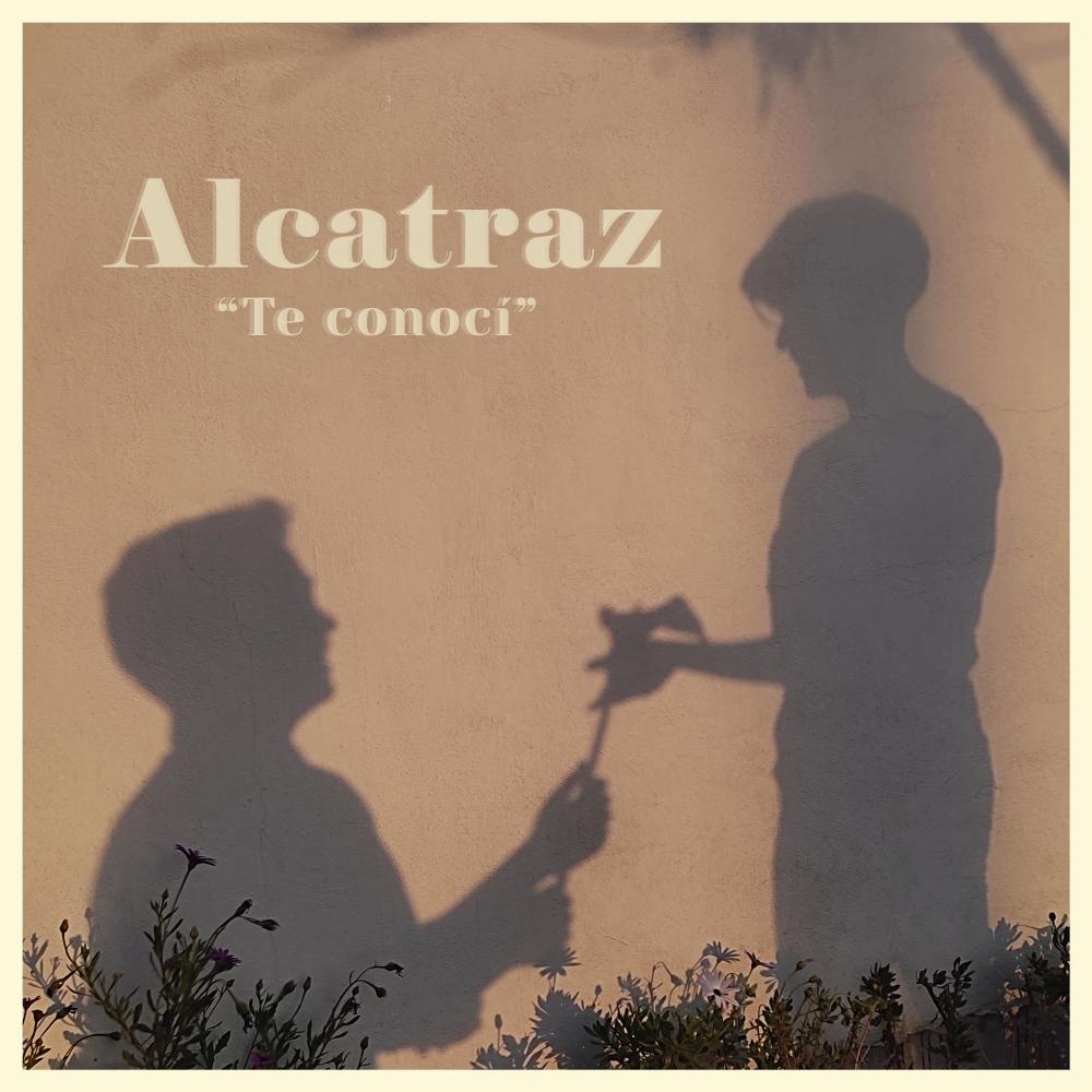 Te conocí