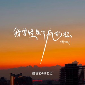 Album 我曾经发了疯的想（对唱版） from 魏佳艺