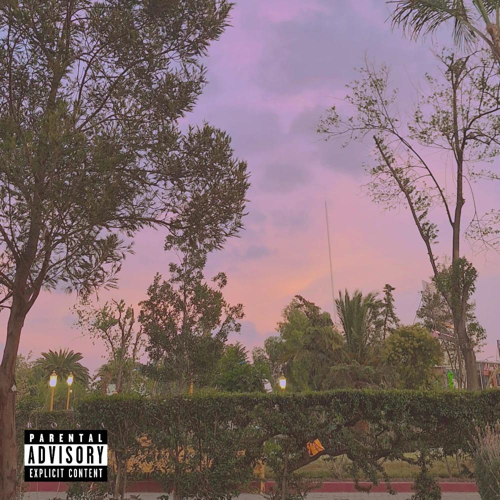 Rosa (Explicit)