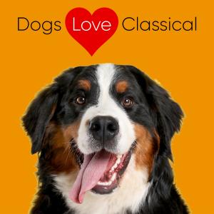 Dogs Love Classical的專輯Classical Piano for Dogs at Home: Beethoven & Bach